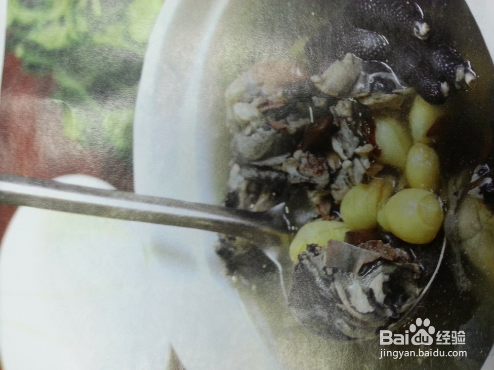 白果乌鸡汤，适合春分前后