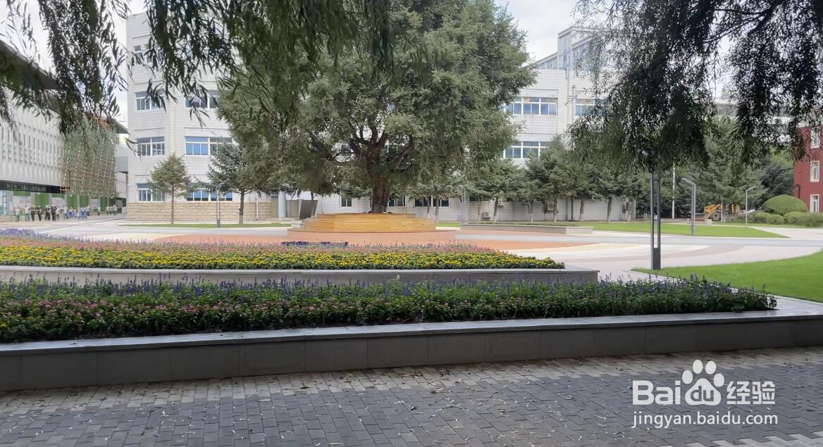沈阳大学环境好的公园在哪里#校内游玩攻略#