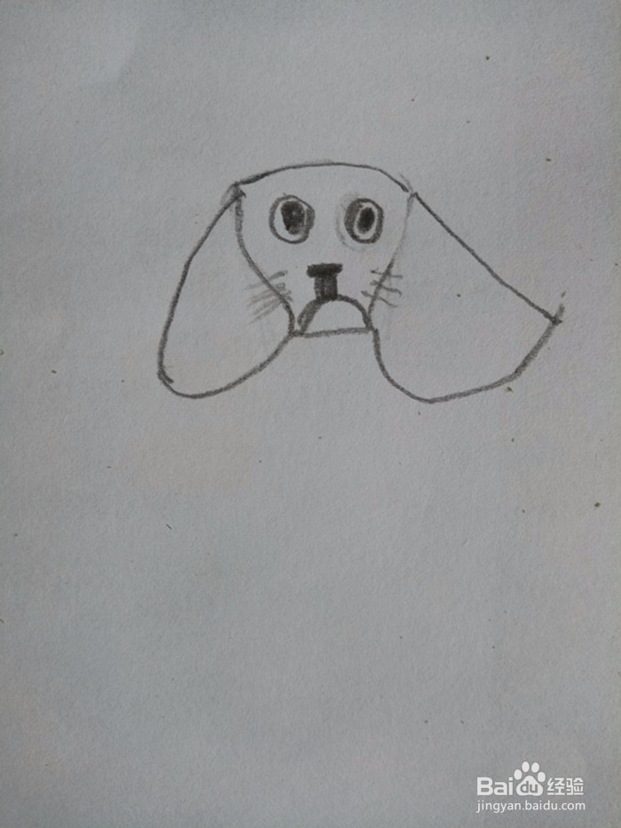 狗狗的简笔画