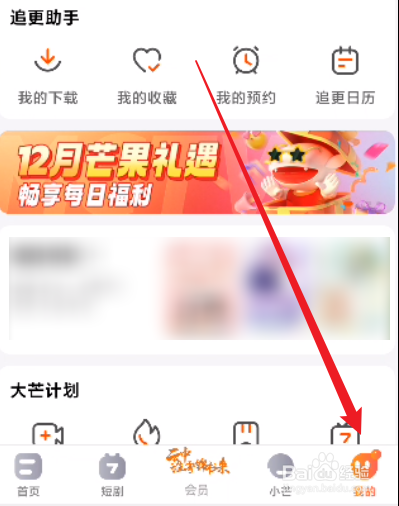 芒果TV怎么开启允许使用3G/4G/5G流量离线缓存