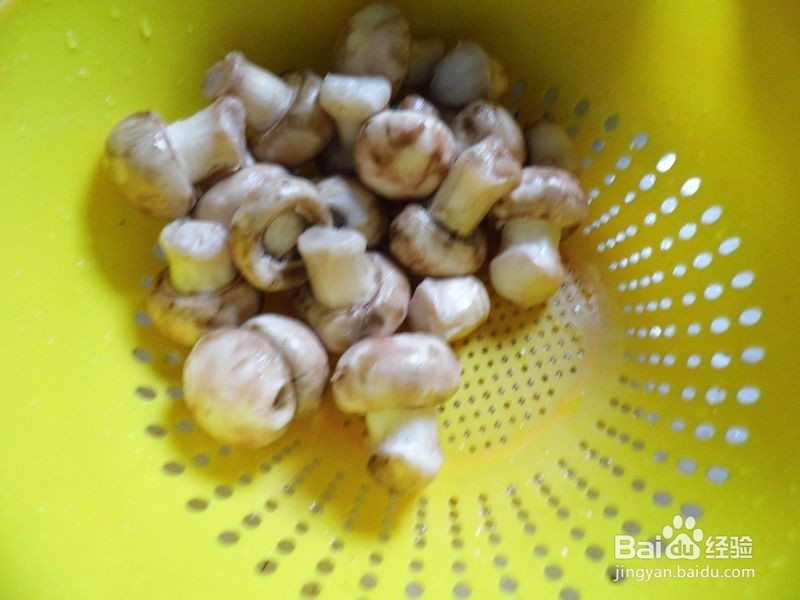 天凉了，吃点肉肉好过冬------口蘑红烧肉