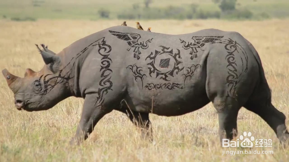 抖音、快手等自媒体短视频制作需要哪些软件工具