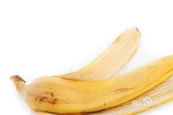 房间小飞虫怎么消除