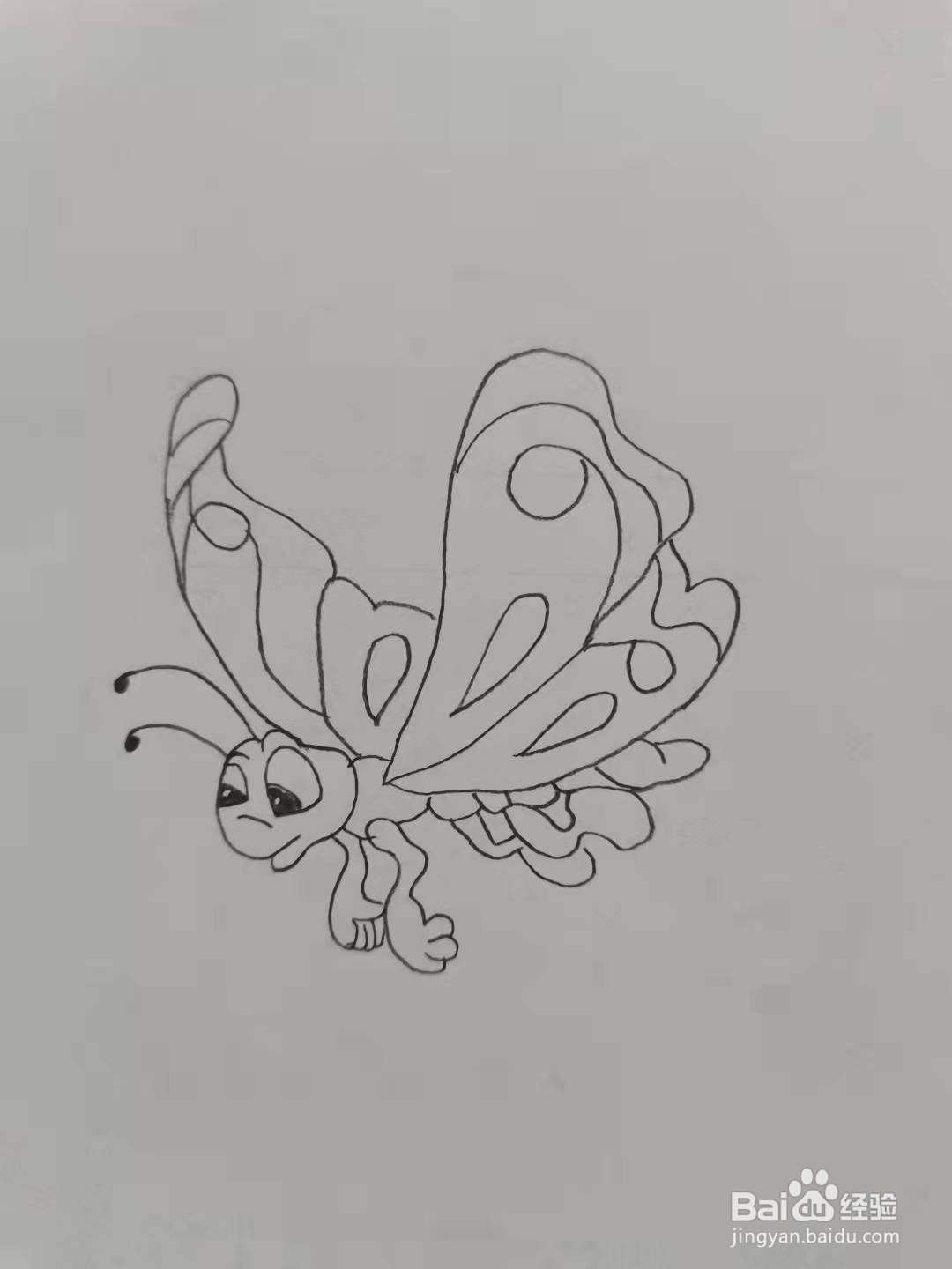 小蝴蝶简笔画