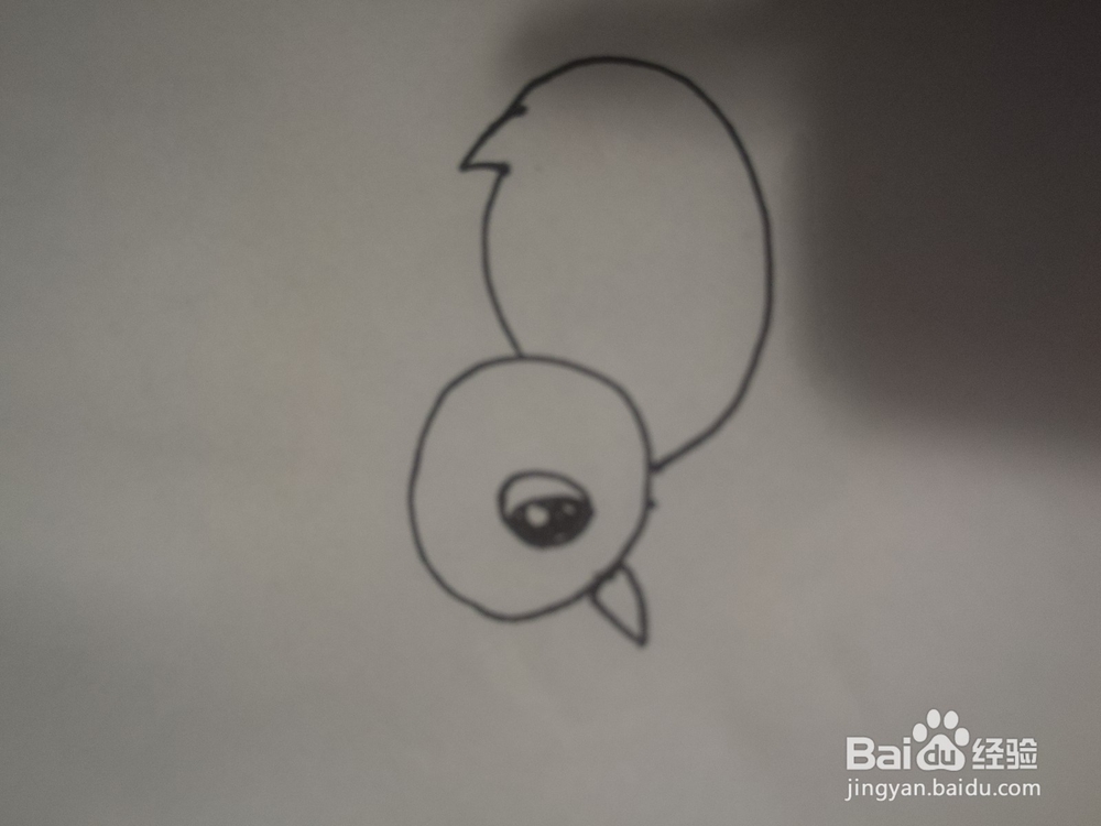 一只小鸡的简笔画