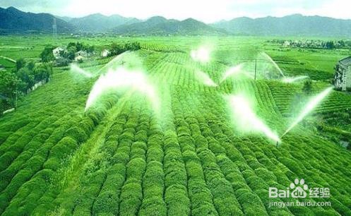 水肥一体化系统是如何实现灌溉施肥自动化的