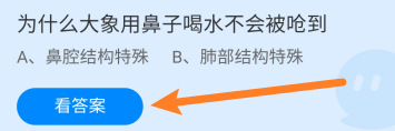 为什么大象用鼻子喝水不会被呛到?蚂蚁庄园6.13