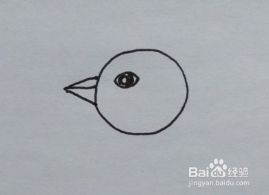 幼儿简笔画:如何一步一步画啄木鸟