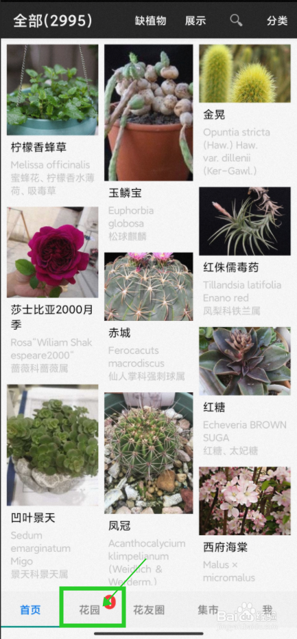 【爱花草】怎样设置花园封面