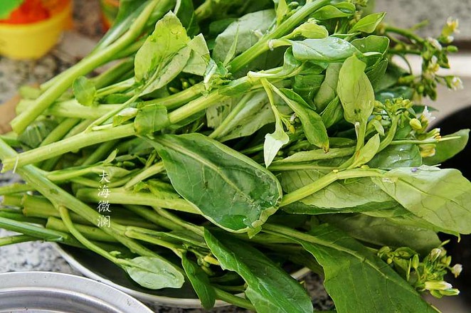 芥蓝怎么做菜