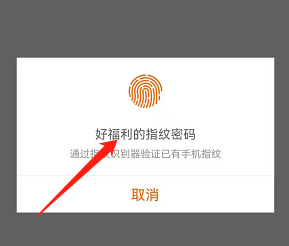安卓版好福利如何开启指纹登录？