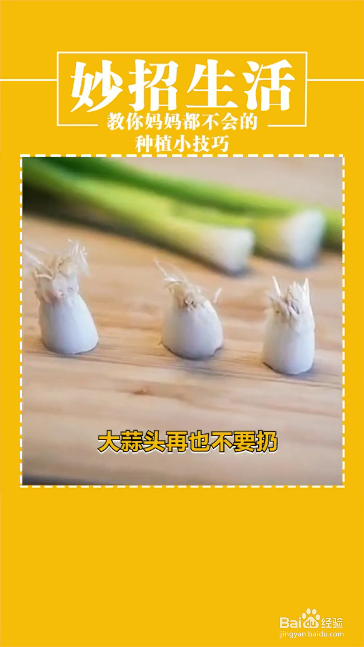 有关种植的妙招