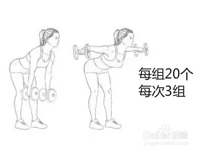 7天详细健身减肥计划