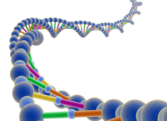 请问DNA和RNA初步和彻底水解的产物各有几种?为什么?谢谢。。。望详细点。。谢谢~~-百度经验