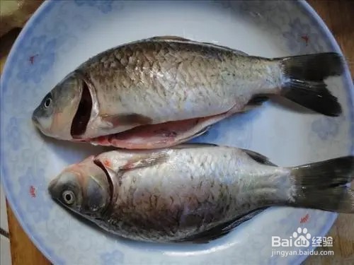 正宗石锅鱼在哪里学