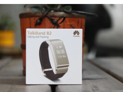 手环排行榜前十名