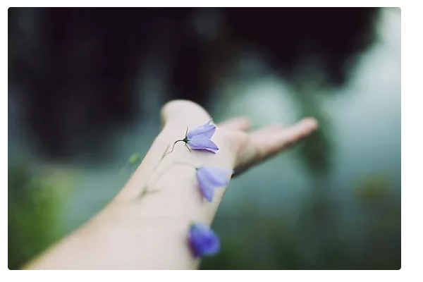 奈何肩上的责任重大是什么歌