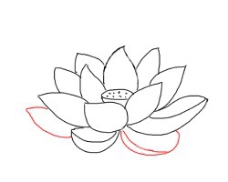 简笔画---怎么画荷花