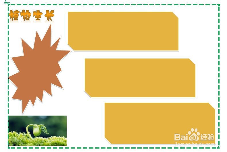 植物生长手抄报