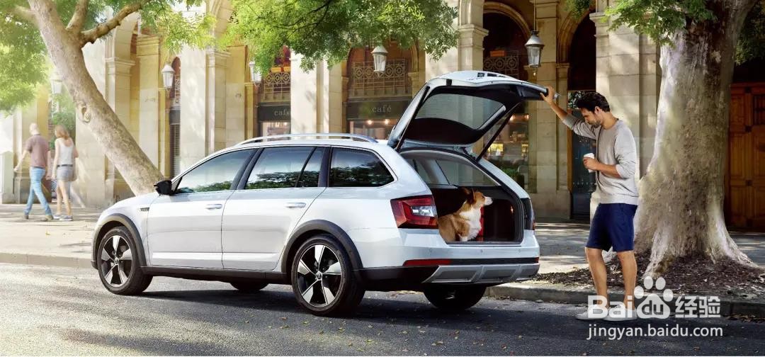 懂大众的人都买斯柯达？这个品牌全系降价