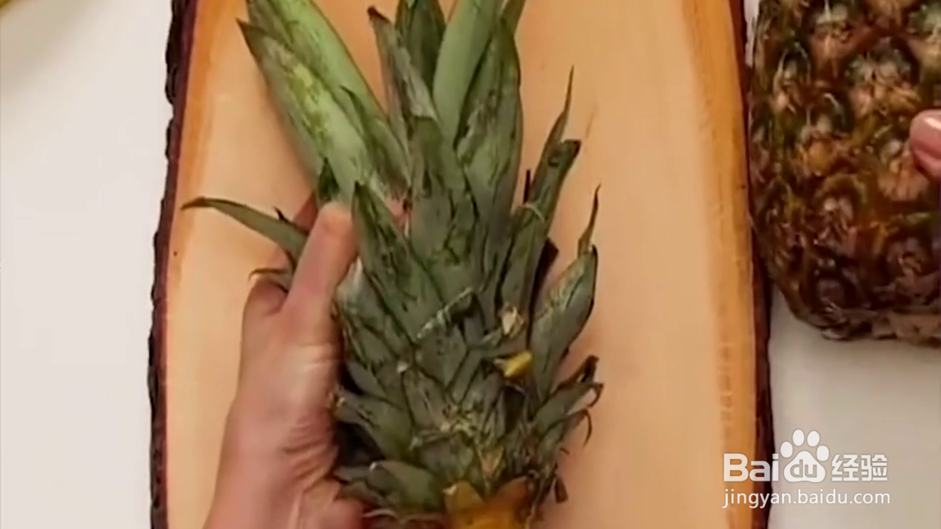 教你水果种植小技巧？