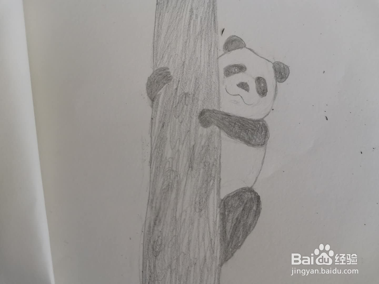 怎样画一个熊猫