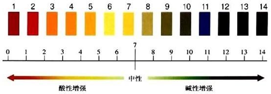 私处怎么美白护理呢?