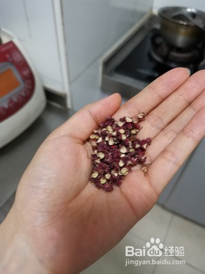 羊驼怎么做好吃