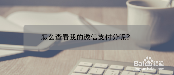 怎么查看我的微信支付分呢？