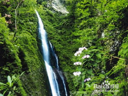 2012江油十一旅游攻略