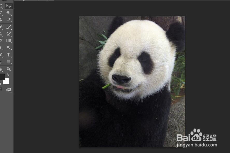 PS如何快速旋转图片，图层，旋转工具在哪