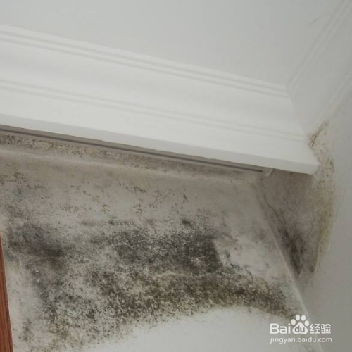 墙面发霉的原因和处理方法