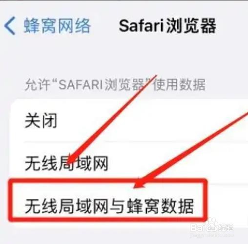 Safari浏览器在哪里开启网络权限