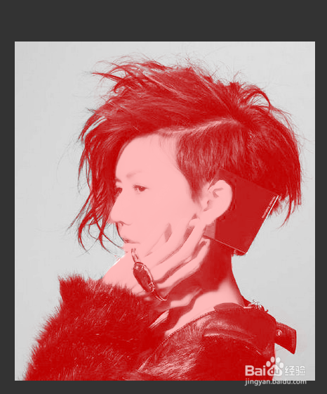 如何用Adobe Photoshop 进行抠图