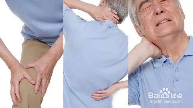 猪的尾巴有什么功效