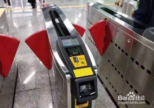 深圳极地文化园怎么走