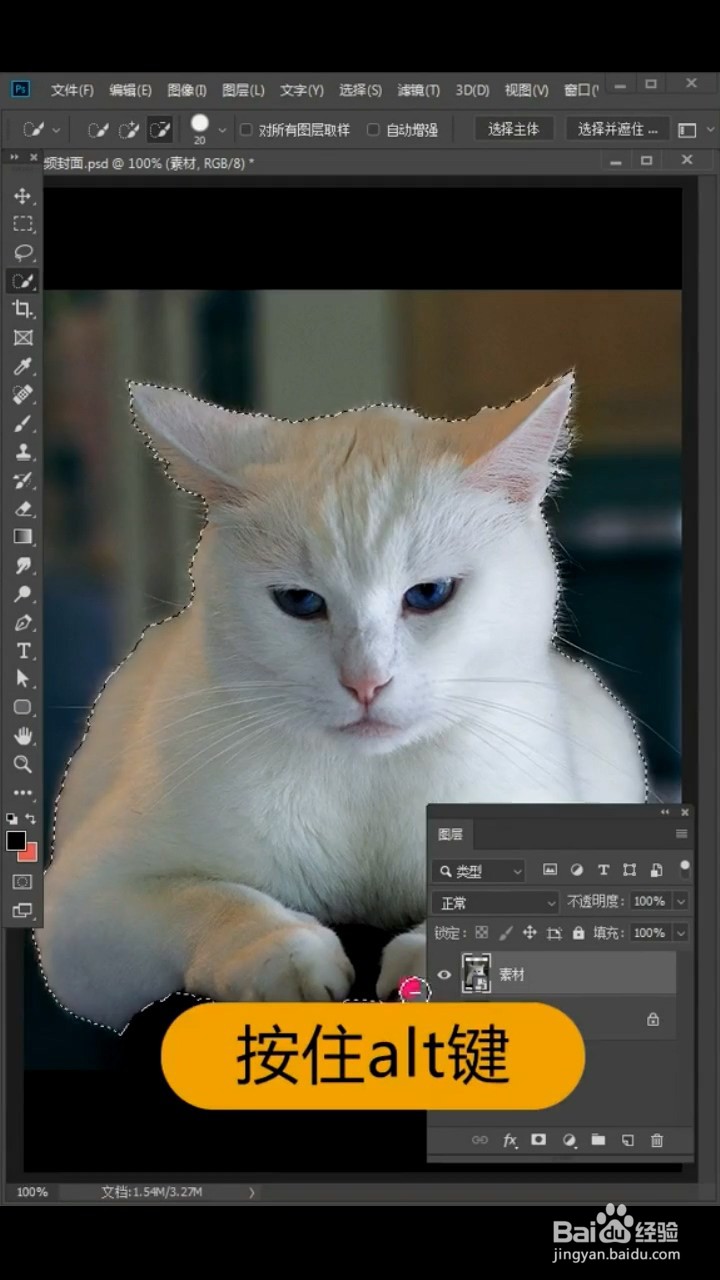 如何利用photoshop抠出小猫咪
