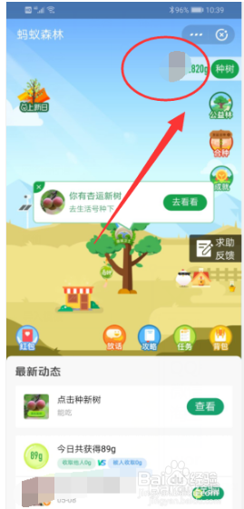 支付宝蚂蚁森林怎么收取能量