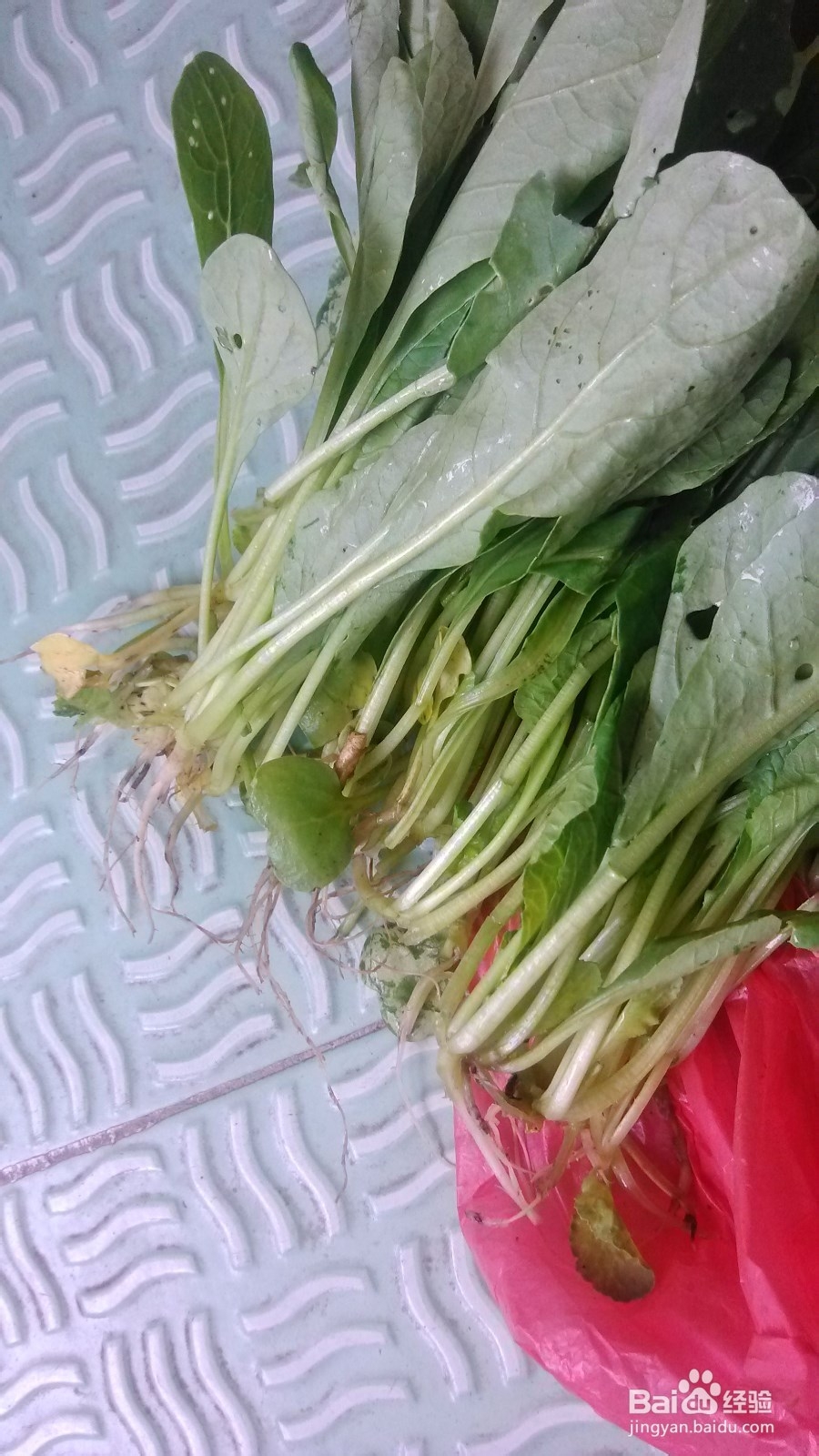 如何清炒萝卜苗