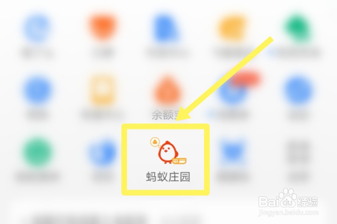 蚂蚁庄园的小鸡装扮怎么获得