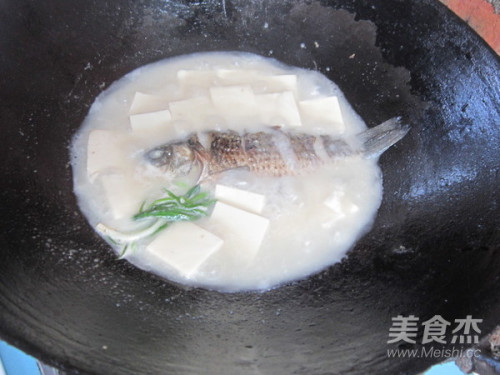 鯽魚豆腐湯的做法