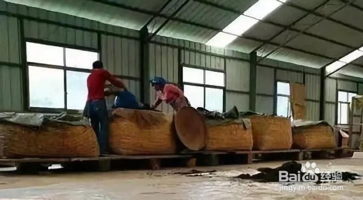 普洱发酵熟茶工艺方法