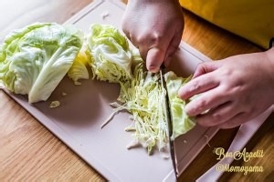 教你怎么做卷心菜沙拉