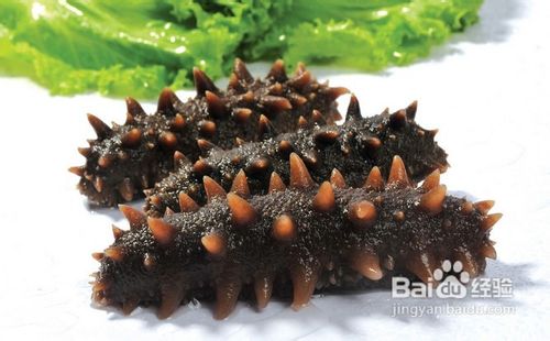 养生 七类丰胸营养食物让你拥有傲人双峰