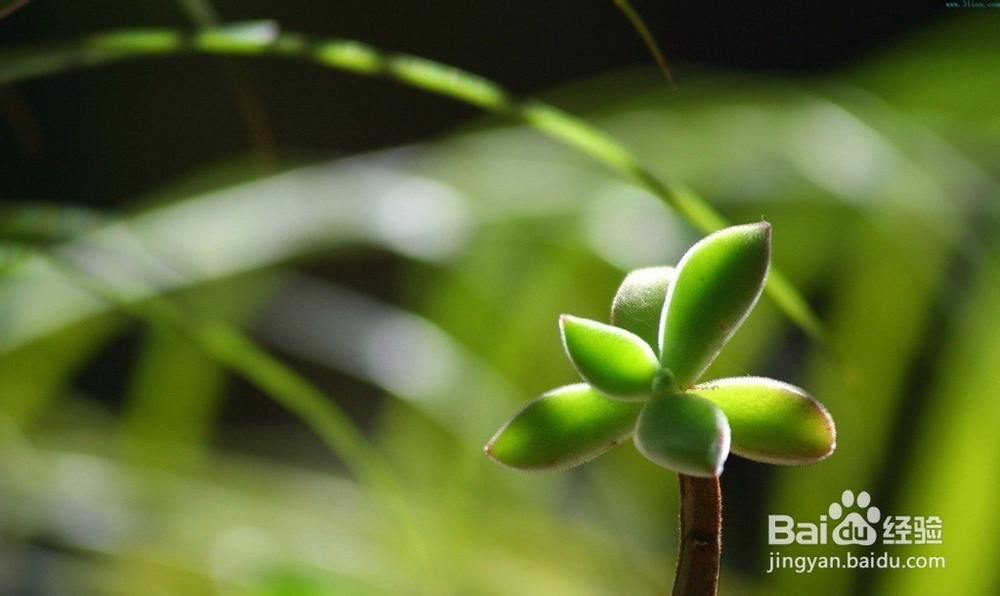 空调房里如何保湿