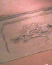 太阳神鸟——金沙遗址游览