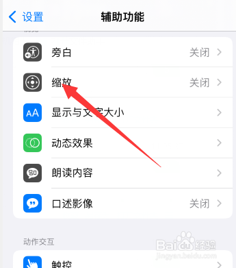 苹果手机按了缩放怎么恢复
