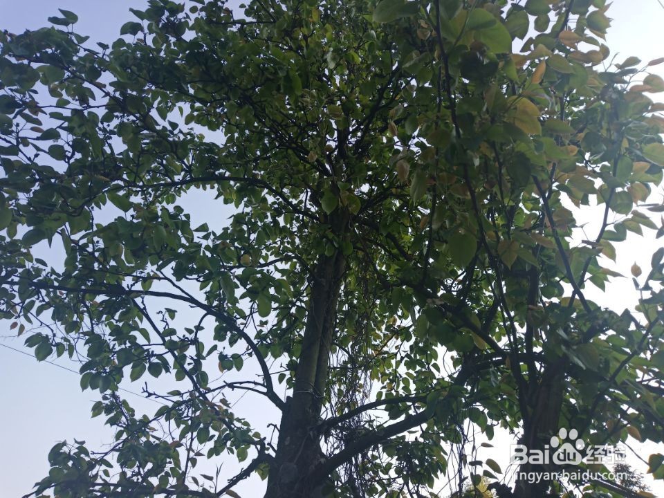 如何形成好的公共生活