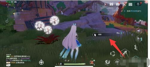 幻塔蕨菜在哪里