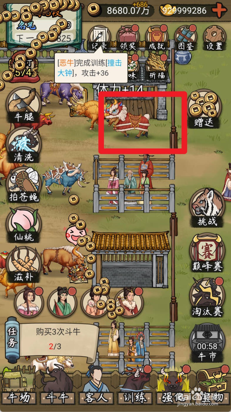 叫我养牛王如何购买害怕过年的狮子牛